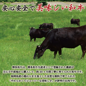 【ふるさと納税】博多和牛 A5～A4 切り落とし 500g 化粧箱入 [a9237] 株式会社マル五 ※配送不可：離島【返礼品】添田町 ふるさと納税