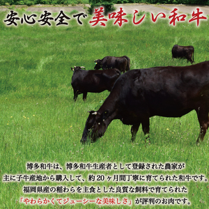 博多和牛 牛すじ 約1kg [a9234]  牛すじ | 黒毛和牛