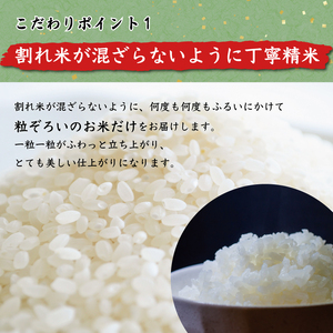 【ふるさと納税】令和6年産 福岡県産元気つくし無洗米25kg(5kg×5) [a7198] 株式会社 藤食糧 【返礼品】添田町 ふるさと納税