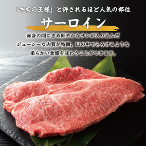【ふるさと納税】A5 A4 等級使用 博多和牛 サーロイン ステーキ用 500g(2枚入) [a9187] 株式会社チクゼンヤ ※配送不可：離島【返礼品】添田町 ふるさと納税