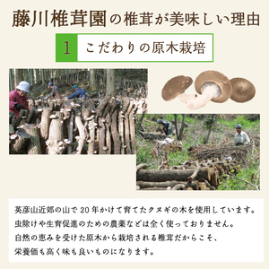 【ふるさと納税】藤川椎茸園の英彦山 乾しいたけ「どんこ 135g 化粧箱入」贈答用 干し 椎茸 [a9132] 藤川椎茸園 【返礼品】添田町 ふるさと納税