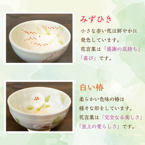 【ふるさと納税】飯椀 2個 セット [a9129] 陶工房 翔房舎 【返礼品】添田町 ふるさと納税