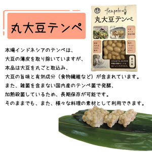 テンペセット（2種10個入り）