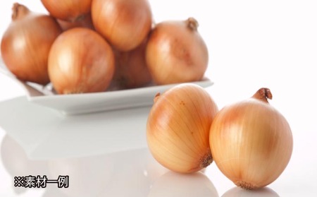 化学調味料不使用【淡路牛玉ねぎカレー（中辛）】10個セット