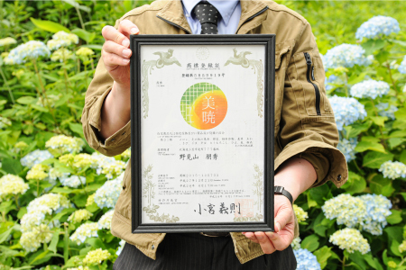 《2026年分受付中》≪数量限定！≫のみやまファームの赤肉メロン「美暁」（各1.6kg以上を2玉）【01167】