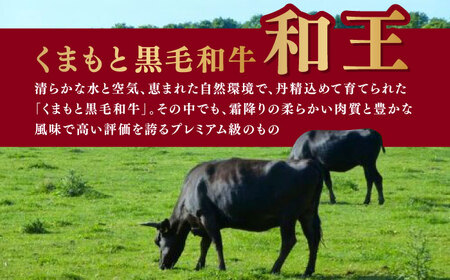 【全12回定期便】【訳あり】 和王 赤身 こま切れ 800g【株式会社ワンエイト】 コマ切れ くまもと黒毛和牛 和牛こま切れ 小間切れ [ZDA005]