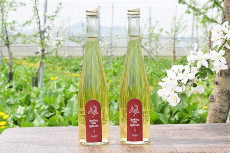 りんご贅沢しぼり 500ml×1本 スパークリング 500ml×2本 計3本セット りんご果汁100％ りんごジュース リンゴ 果汁 林檎 飲料 アップル 果物 フルーツ 青森 飲み物 ドリンク