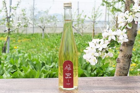 りんご贅沢しぼり 500ml×1本 スパークリング 500ml×1本 計2本セット りんご果汁100％ りんごジュース リンゴ 果汁 林檎 飲料 アップル 果物 フルーツ 青森 飲み物 ドリンク