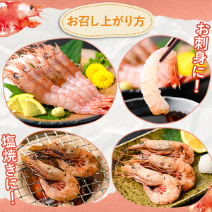 数量限定！タカエビ(約1kg・30～50尾)国産 えび 海老 海鮮 魚介 甘エビ 甘えび 冷凍 期間限定【松永青果】akn053-23