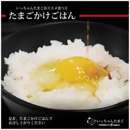 大自然の中で育った“いっちゃんたまご”【1282663】