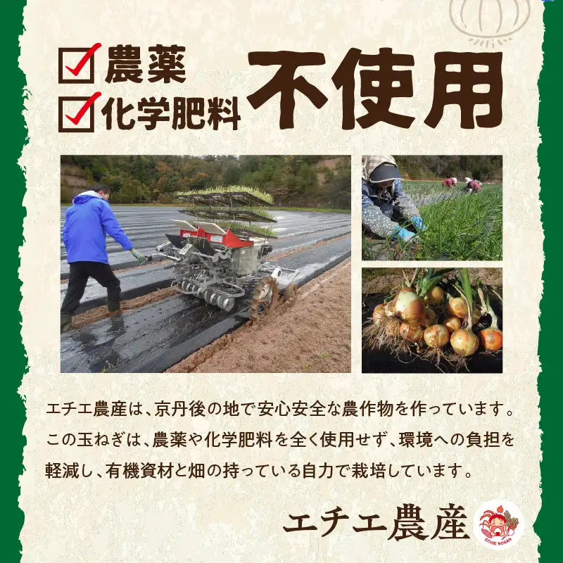 【先行予約】有機玉ねぎ 5kg【有機JAS取得】（2026年6月上旬～発送）