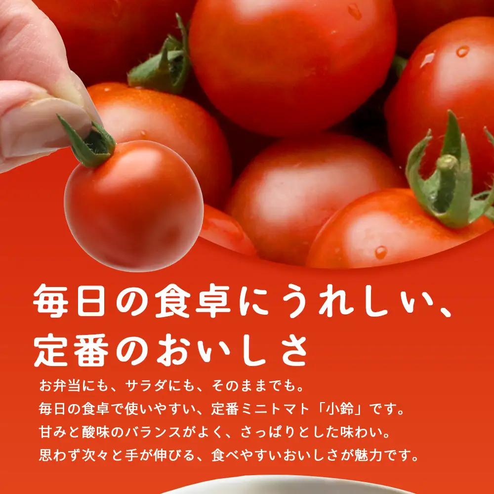田淵さんちの美味しい ミニトマト 小鈴（約1kg）GP-708｜野菜 トマト ミニトマト 産地直送 ミニトマト 新鮮 トマト 南大隅町産 ミニトマト おいしい ミニトマト