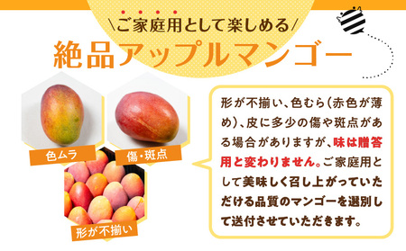 【 2026年 先行予約 】 ≪ ご家庭用 ≫ 東マンゴー園 直送 ！ 完熟 アップルマンゴー 2kg （ 4～6 玉 ） W014-010u 訳あり わけあり 果物 マンゴー