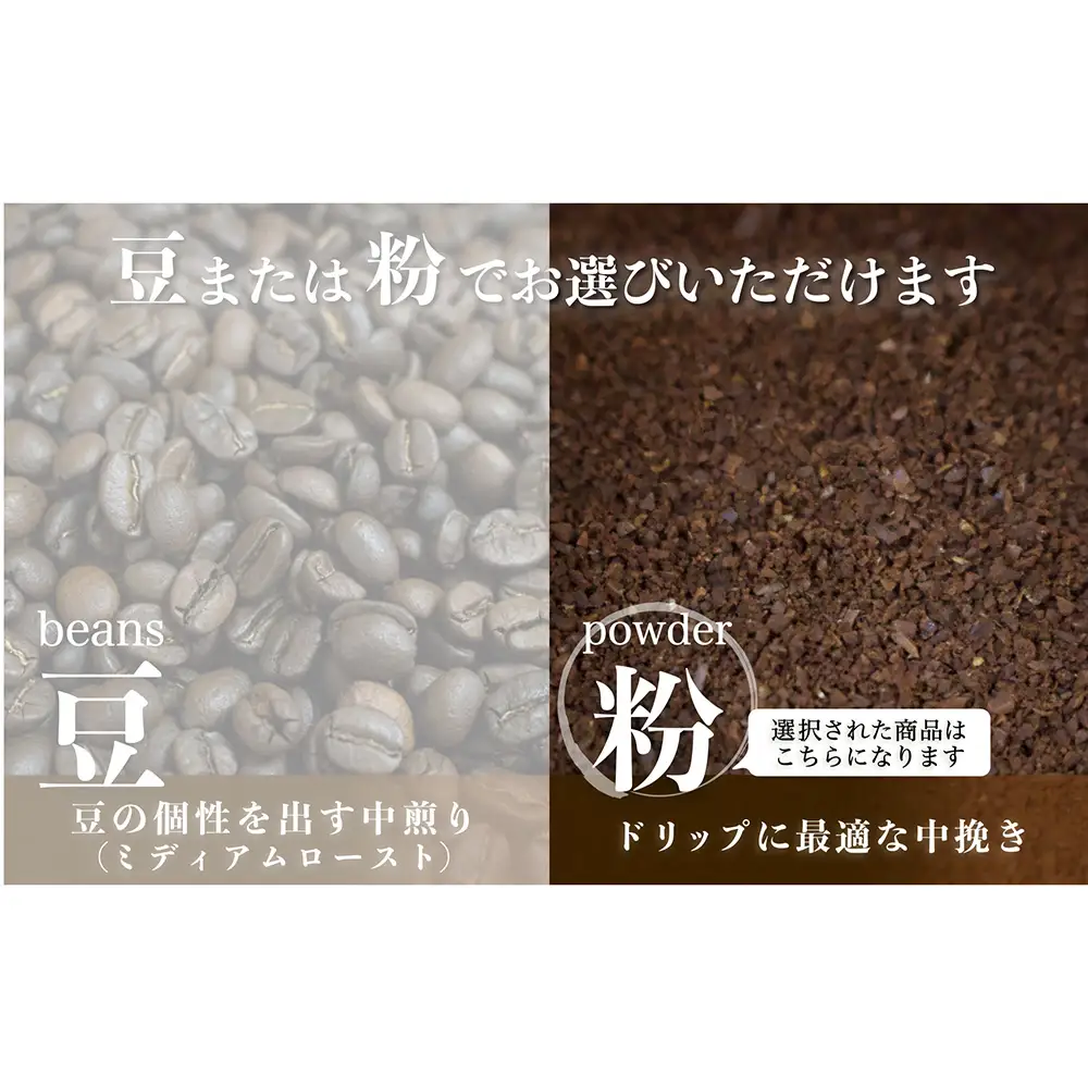 【サンスイ珈琲】香り深いコーヒー豆【粉】200g×3種類 おすすめセット 