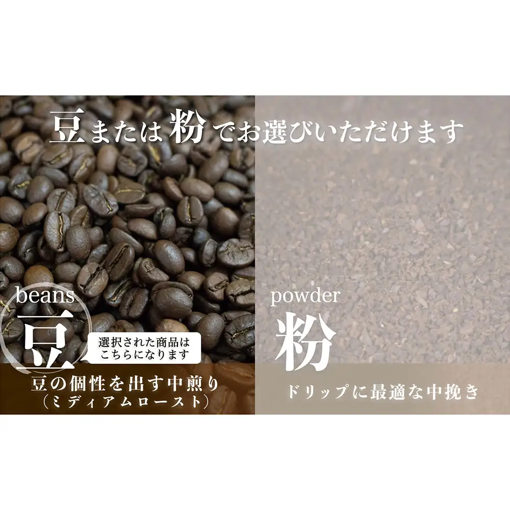 【サンスイ珈琲】香り深いコーヒー豆【豆】200g×3種類 おすすめセット 