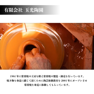 常滑焼急須　黒泥　白桜 陶器 やきもの 焼き物 手作り 伝統工芸品 工芸品 茶器 茶道具 急須 常滑焼 日本六古窯 キッチン用品 日用品 食器 雑貨 ティーポット 日本茶 緑茶 日本製 愛知県 常滑市