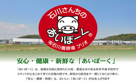 大切な愛犬に　こだわりのご褒美を～犬ごはん詰め合わせギフト～ 無添加 無塩 無糖 ウインナー ローストレバー ドライハート 喉軟骨 そぼろドッグフード 犬用食品 犬のおやつ 犬用おやつ 国産 あいぽーく 豚肉 愛犬 わんちゃん ペット用 ドッグフード プレゼント 犬用飼育グッズ 愛知県 常滑市