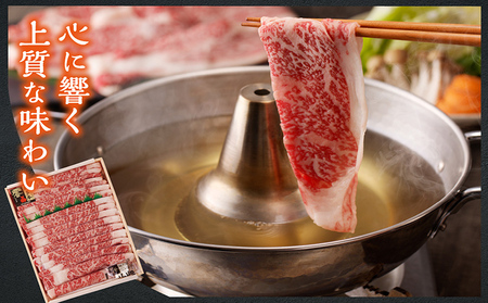 知多牛（響）肩ローススライス　約1.2kg すき焼き しゃぶしゃぶ 鍋 国産牛 牛肉 国産 ロース肉 うす切り肉 すきやき 牛丼 ブランド肉 ブランド牛 知多牛 お肉 グルメ キャンプ アウトドア お取り寄せ ギフト 贈答用 愛知県 常滑市