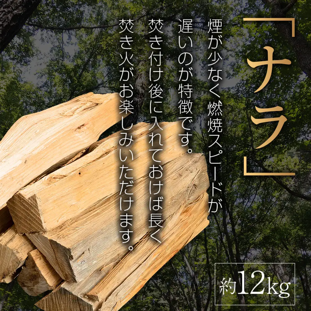 林業家こだわりの薪！OORIN薪ビギナーズセット約14kg 説明書付き OR056_001