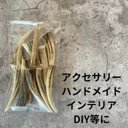 鹿の角 枝先10cm前後200gセット 北海道産 アクセサリー クラフト材_雑貨   _【1413839】