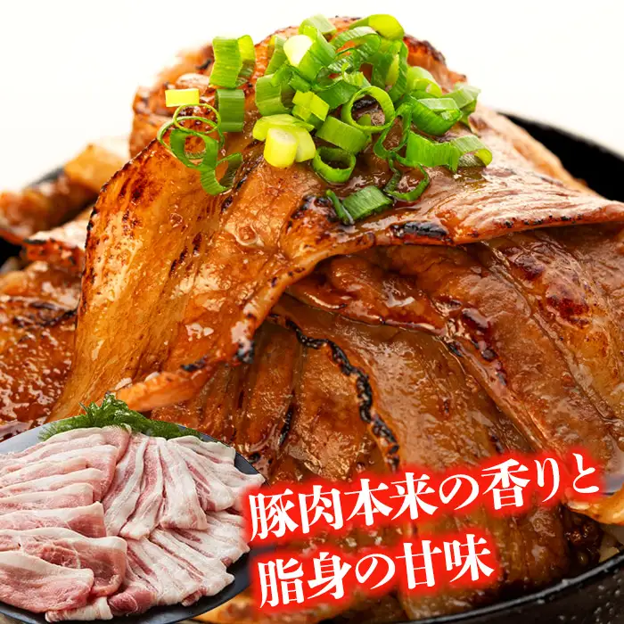 みゆきポーク 満喫 食べ尽くしセット （Ae-001） 焼肉 豚肉