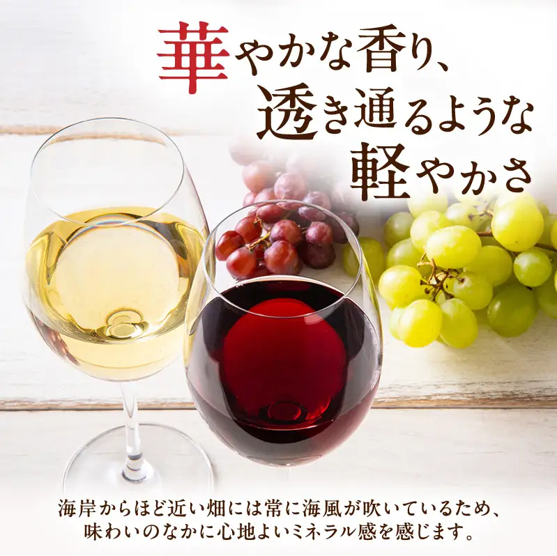 カーブドッチSABLE 赤白ワインセット 750ml×2本 ワイン 赤ワイン 白ワイン セット 750ml 赤 白 カーブドッチ SABLE お酒 酒 アルコール 新潟 