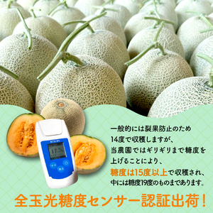 太田農園メロン“GIFT”赤肉メロン＆青肉メロンセット（合計3玉） メロン セット 糖度 赤肉 青肉  高級 果物 フルーツ おやつ デザート 新潟 夏フルーツ 