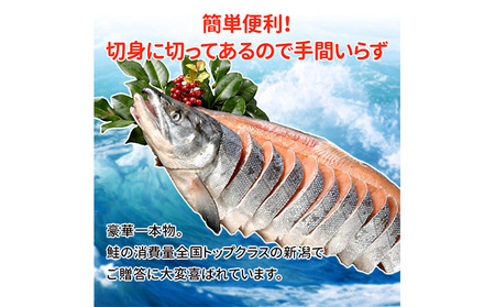 新巻鮭姿切り 1尾 新巻鮭 鮭 さけ サケ しゃけ シャケ サーモン 塩鮭 切り身 魚 海産物 魚介 魚介類 惣菜 おかず ごはんのお供 朝ごはん お弁当 ギフト 贈答 冷凍 新潟 