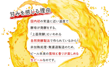 Niigata BEER 24本セット ビール 330ml 24本 セット 缶内発酵 無濾過製法 地ビール 麦酒 お酒 酒 アルコール エールビール 日本初 ビン内発酵 ビン内熟成 新潟 新潟県 