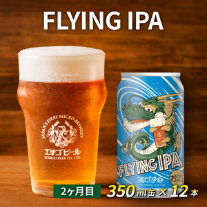 【定期便3ヶ月】エチゴビール【1ヶ月目】スタウト350ml缶×12本【2ヶ月目】FLYING IPA350ml缶×12本【3ヶ月目】プレミアムレッドエール350ml缶×12本 ビール 全国第一号 クラフトビール 350ml 缶 12本 酒 定期便 3回 お楽しみ 