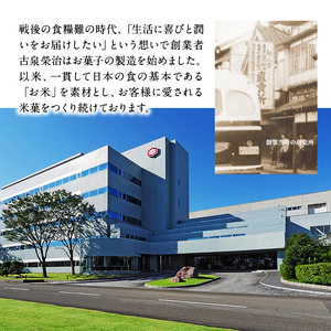 【食べきりサイズ】亀田のあられ・おせんべい♪小袋4種セット 亀田製菓 4種類 セット 詰め合わせ せんべい 煎餅 お菓子 菓子 技のこだ割り 堅ぶつ旨塩 サラダうす焼 しゃり蔵 