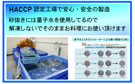 【先行予約】網走湖産 天然大粒 大和しじみ 2.5kg ※着日指定不可（2026年5月20日以降発送予定） ABX033