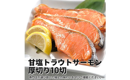 甘塩トラウトサーモン 10切 鮭 さけ サケ しゃけ シャケ サーモン トラウトサーモン 塩鮭 切り身 魚 海産物 魚介 魚介類 惣菜 おかず ごはんのお供 朝ごはん お弁当 冷凍 新潟 