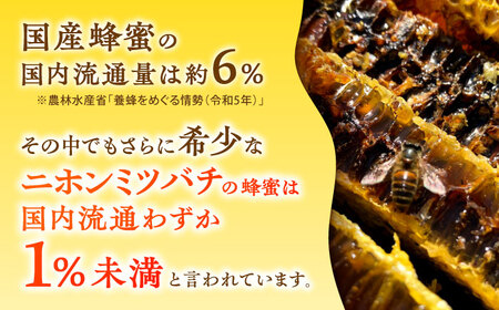 日本みつばち菊鹿約600g【山麓はっち】 [ZBM011]