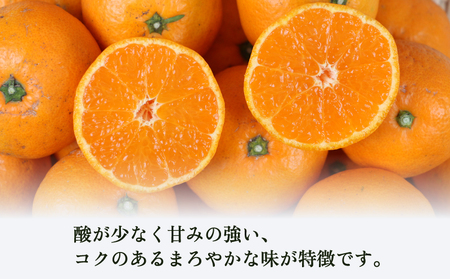 温州みかん南柑20号9kg家庭用植村農園温州みかん温州みかん温州みかん温州みかんB010-153004