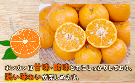 ポンカン 9kg みかん 家庭用 植村農園 ﾎﾟﾝｶﾝ ﾎﾟﾝｶﾝ ﾎﾟﾝｶﾝ B010-153005