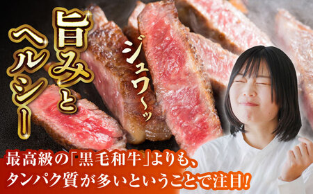【全12回定期便】GIくまもとあか牛ロースステーキ　約500g【山鹿市（桜屋）】 熊本 特産 牛肉 特選 ロースステーキ あかうし  [ZBO028]