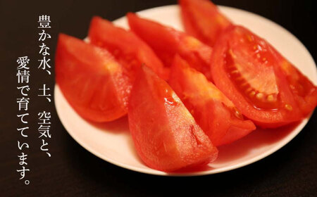 喜茂別産 ぜいたくトマト 約1.5kg [AJAJ004] トマト 夏
