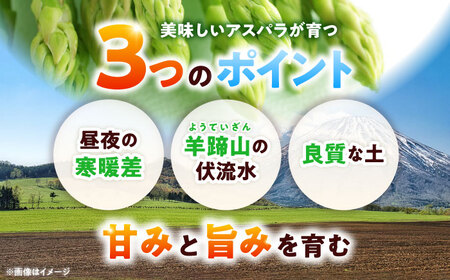 グリーンアスパラガス 1.5kg アスパラ AJAM001