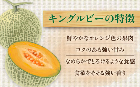 【先行予約】メロン 大玉 2玉 / 赤肉メロン 果物 フルーツ [AJAM003]