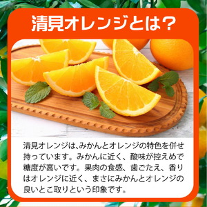ZE6405n_【まごころ搾りたて】清見 100%ジュース 1000ml 6本