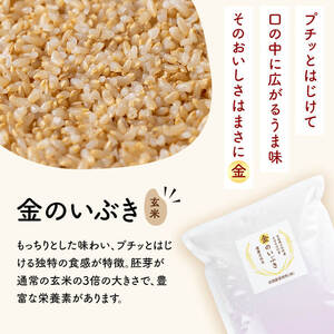 玄米 金のいぶき 自宅用 合計3,750g (750g×5袋) 小分け お米 おこめ 米 コメ 玄米 ご飯 ごはん おにぎり お弁当【赤間農業開発株式会社】ta311