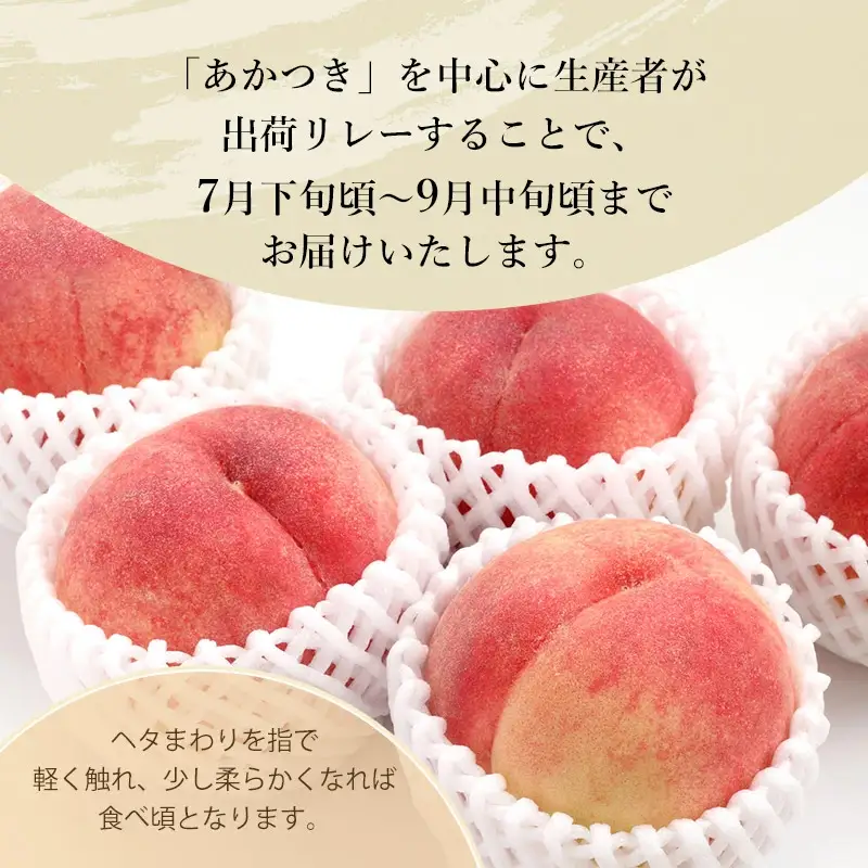 【令和8年産先行予約】JA庄内たがわの桃 (品種おまかせ) 約2kg（5～9玉入） 鶴岡市羽黒地域産　K-830