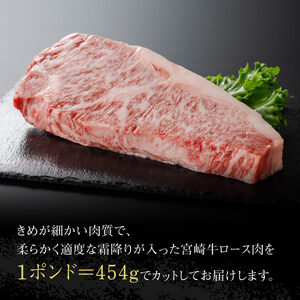 宮崎牛ワンポンドステーキ454ｇ 【 肉 国産牛肉 牛 A4～A5等級 宮崎牛 牛 BBQ アウトドア 記念日 日本ハム 牛 牛肉 牛 焼肉 】