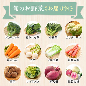 【2026年発送分先行予約】みうら農園 季節の野菜セット おまかせ7品（晩秋野菜）【2026年10月下旬頃～順次】