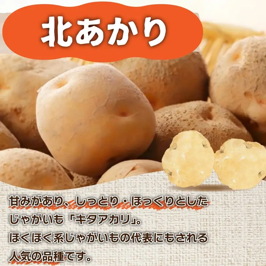＜先行予約＞北海道産 じゃがいも(北あかり) 約5kg【55250842】