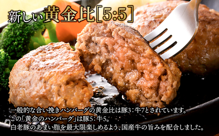 国産100％白老合挽金色ハンバーグ150g×12 BV023