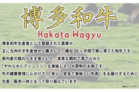 福岡の豊かな自然で育った 博多和牛 しゃぶしゃぶ用 約700g ブリスケ 九州産 国産牛 黒毛和牛
