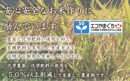 令和7年産 コシヒカリ 10㎏ 隔月3回 (合計30kg) 山口県産 特別栽培エコ50 (化学農薬・肥料50％以上削減/精米まで一貫加工) 下関 《内日三町：DZ》