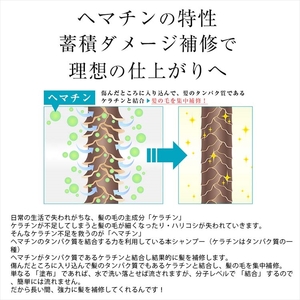 【 定期便3ヵ月 】 シャンプー トリートメント 2点セット 500ml ヘマチン